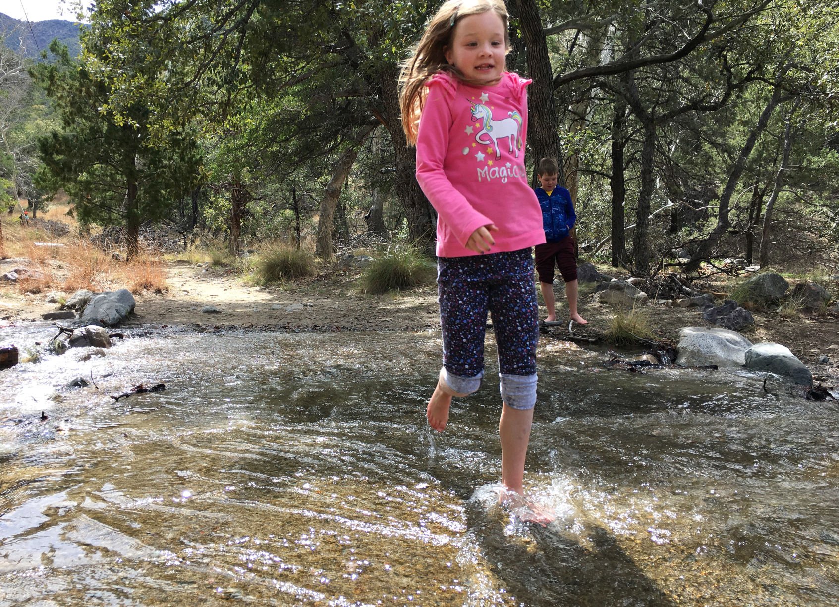 Madera Canyon